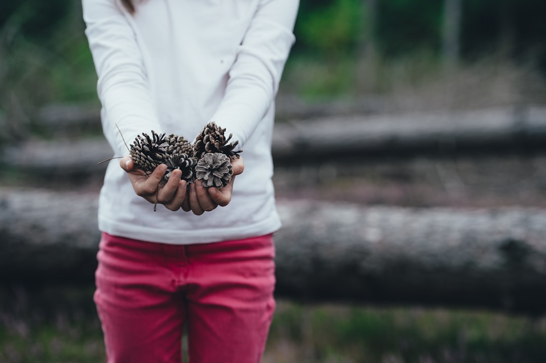 woman holding pine cones